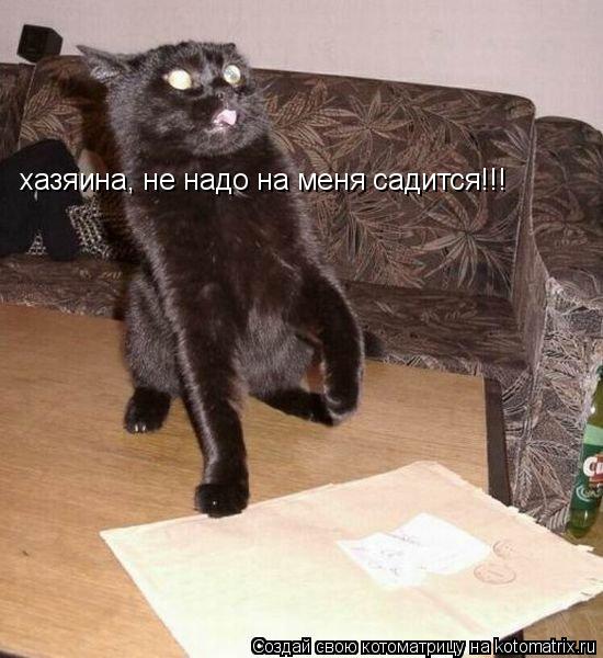 хазяина, не надо на меня садится!!!... Котоматрица: хазяина, не надо на меня садится!!!