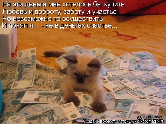 На эти деньги мне хотелось бы купить Любовь и доброту, заботу и участье Но невозможно то осуществить ... Котоматрица: На эти деньги мне хотелось бы купить Любовь и доброту, заботу и участье Но невозможно то осуществить И понял я... - не в деньгах счастье...