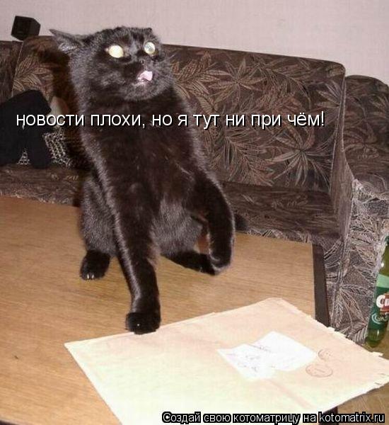 новости плохи, но я тут ни при чём!... Котоматрица: новости плохи, но я тут ни при чём!