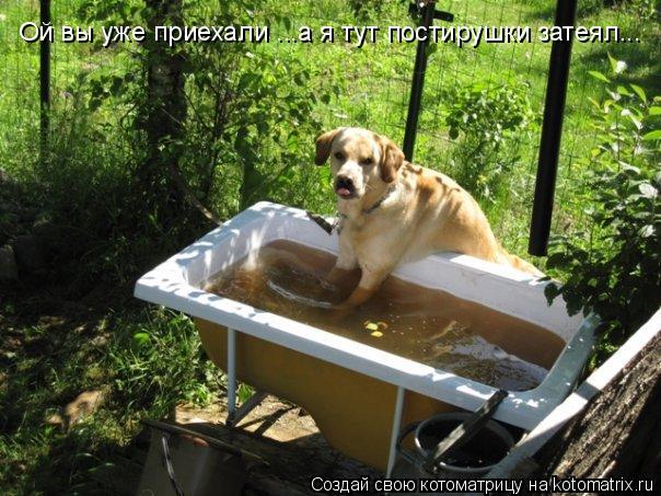 Ой вы уже приехали ...а я тут постирушки затеял...... Котоматрица: Ой вы уже приехали ...а я тут постирушки затеял...