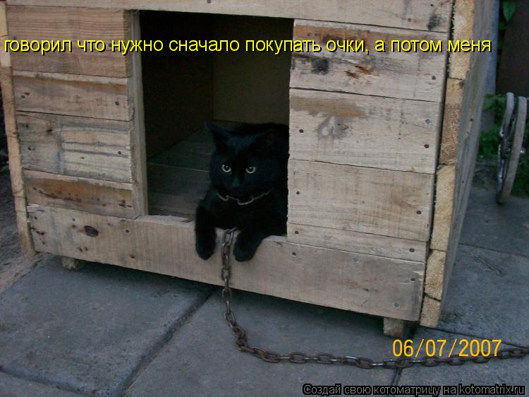 говорил что нужно сначало покупать очки, а потом меня... Котоматрица: говорил что нужно сначало покупать очки, а потом меня