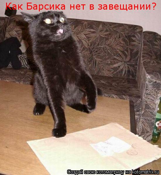 Как Барсика нет в завещании?... Котоматрица: Как Барсика нет в завещании?