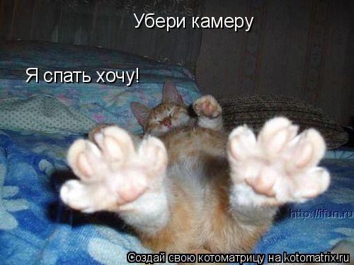 Убери камеру Я спать хочу!... Котоматрица: Убери камеру Я спать хочу!
