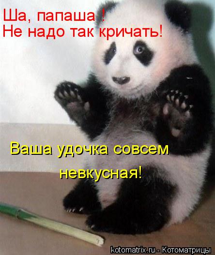 Ша, папаша ! Не надо так кричать! Ваша удочка совсем невкусная!... Котоматрица: Ша, папаша ! Не надо так кричать! Ваша удочка совсем невкусная!