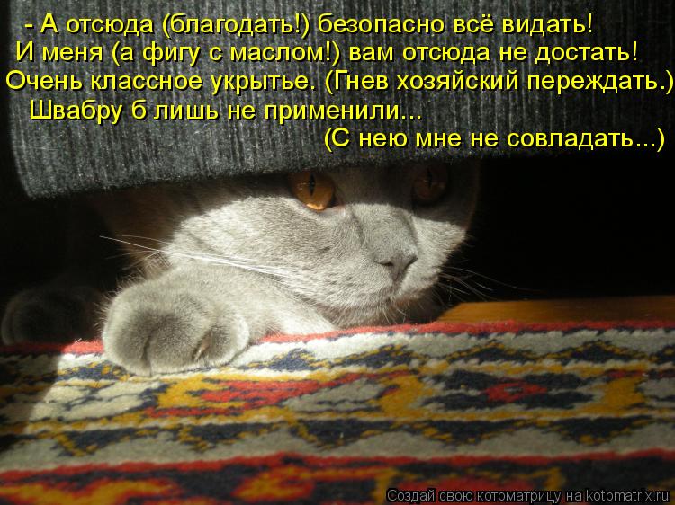 - А отсюда (благодать!) безопасно всё видать! И меня (а фигу с маслом!) вам отсюда не достать! Очень ... Котоматрица: - А отсюда (благодать!) безопасно всё видать! И меня (а фигу с маслом!) вам отсюда не достать! Очень классное укрытье. (Гнев хозяйский переждать