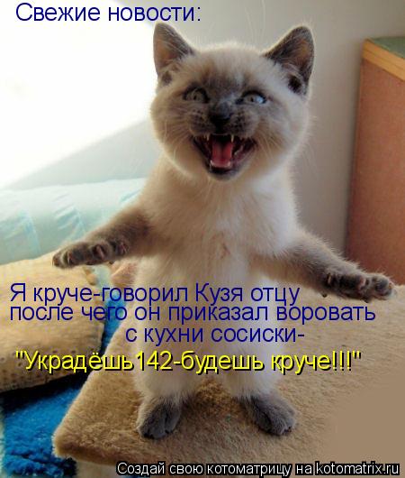 Свежие новости: Я круче-говорил Кузя отцу после чего он приказал воровать с кухни сосиски- "Украдёшь1... Котоматрица: Свежие новости: Я круче-говорил Кузя отцу после чего он приказал воровать с кухни сосиски- "Украдёшь142-будешь круче!!!"