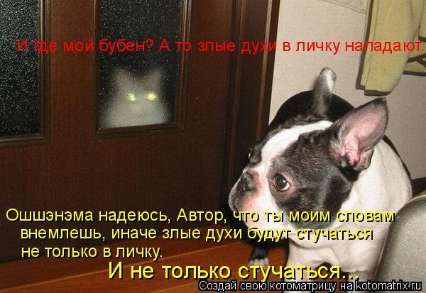 ... Котоматрица: