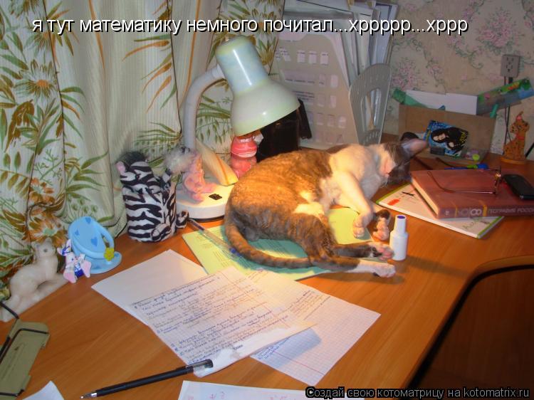 я тут математику немного почитал...хррррр...хррр... Котоматрица: я тут математику немного почитал...хррррр...хррр