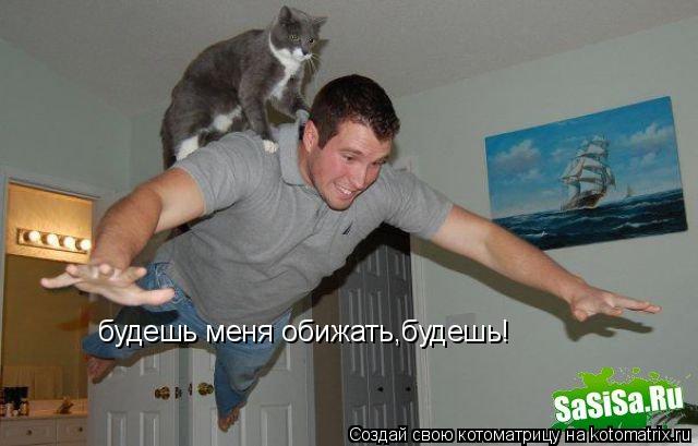 будешь меня обижать,будешь!... Котоматрица: будешь меня обижать,будешь!