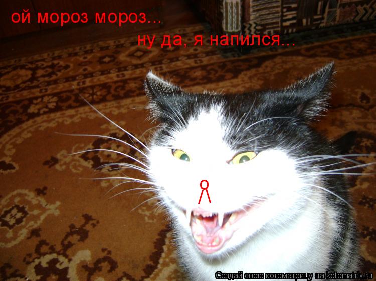 o / ой мороз мороз... ну да, я напился...... Котоматрица: o / ой мороз мороз... ну да, я напился...