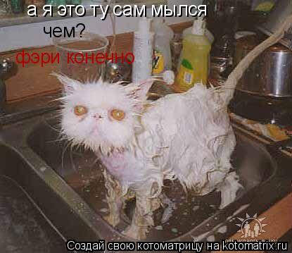 а я это ту сам мылся чем? фэри конечно... Котоматрица: а я это ту сам мылся чем? фэри конечно