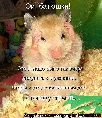 Ой, батюшки! Это ж надо было так вчера погулять с мужиками, чтобы к утру собственный дом с голоду с... Котоматрица: Ой, батюшки! Это ж надо было так вчера погулять с мужиками, чтобы к утру собственный дом с голоду сгрызть...