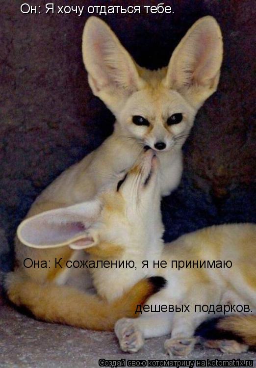 Он: Я хочу отдаться тебе. Она: К сожалению, я не принимаю дешевых подарков.... Котоматрица: Он: Я хочу отдаться тебе. Она: К сожалению, я не принимаю дешевых подарков.