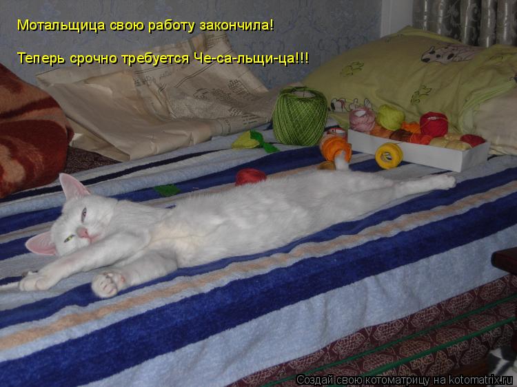 Мотальщица свою работу закончила! Теперь срочно требуется Че-са-льщи-ца!!!... Котоматрица: Мотальщица свою работу закончила! Теперь срочно требуется Че-са-льщи-ца!!!