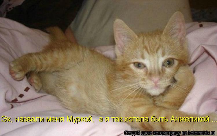 Эх, назвали меня Муркой, а я так хотела быть Анжеликой ...... Котоматрица: Эх, назвали меня Муркой, а я так хотела быть Анжеликой ...