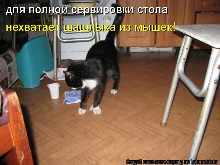 дпя полной сервировки стола нехватает шашлыка из мышек!... Котоматрица: дпя полной сервировки стола нехватает шашлыка из мышек!