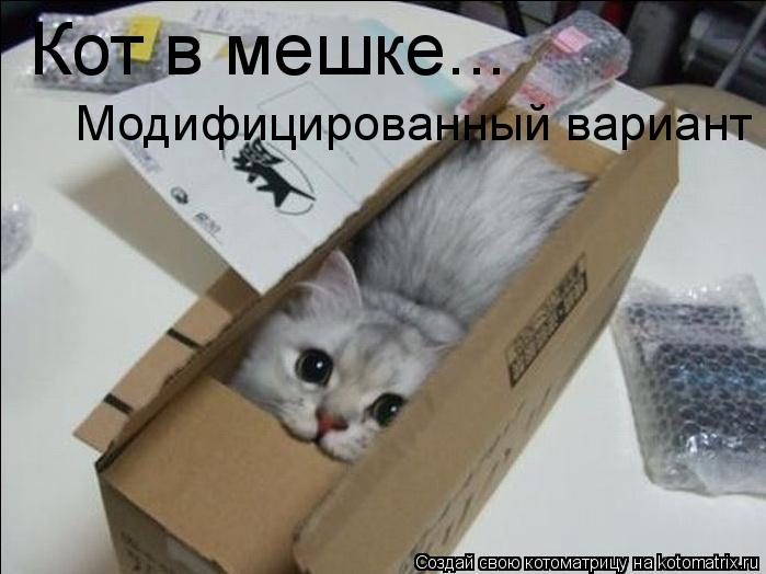 Модифицированный вариант Кот в мешке...... Котоматрица: Модифицированный вариант Кот в мешке...
