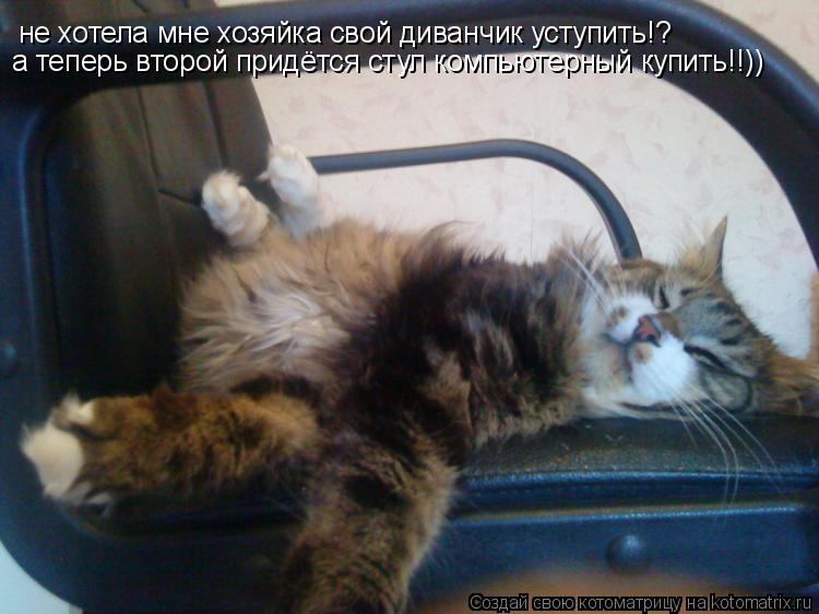 не хотела мне хозяйка свой диванчик уступить!? а теперь второй придётся стул компьютерный купить!!))... Котоматрица: не хотела мне хозяйка свой диванчик уступить!? а теперь второй придётся стул компьютерный купить!!))