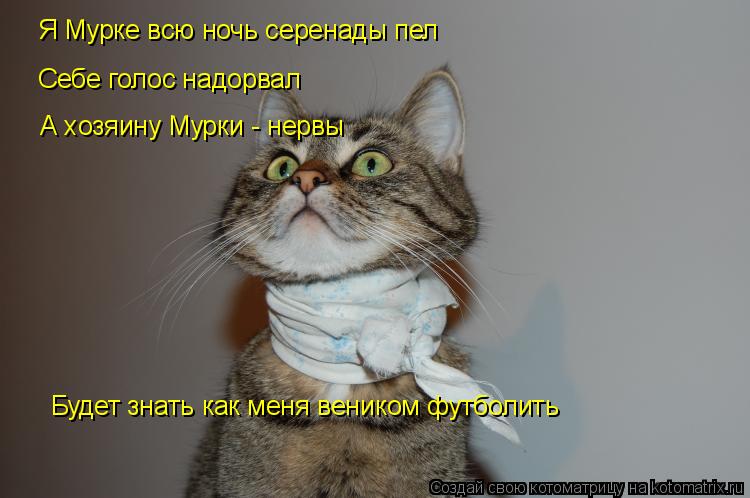 Себе голос надорвал А хозяину Мурки - нервы Я Мурке всю ночь серенады пел Будет знать как меня венико... Котоматрица: Себе голос надорвал А хозяину Мурки - нервы Я Мурке всю ночь серенады пел Будет знать как меня веником футболить