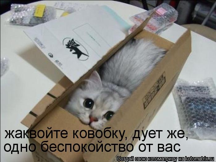 жаквойте ковобку, дует же, одно беспокойство от вас... Котоматрица: жаквойте ковобку, дует же, одно беспокойство от вас