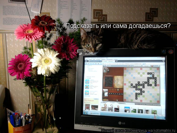 Подсказать или сама догадаешься?... Котоматрица: Подсказать или сама догадаешься?