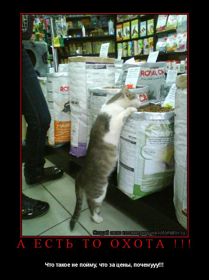 А ЕСТЬ ТО ОХОТА !!! Что такое не пойму, что за цены, почемууу!!!... Котоматрица: А ЕСТЬ ТО ОХОТА !!! Что такое не пойму, что за цены, почемууу!!!
