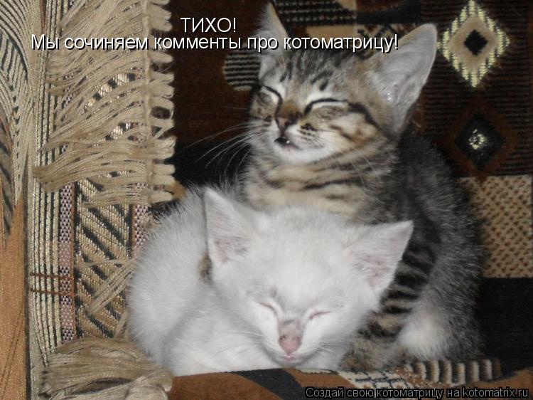 ТИХО! Мы сочиняем комменты про котоматрицу!... Котоматрица: ТИХО! Мы сочиняем комменты про котоматрицу!
