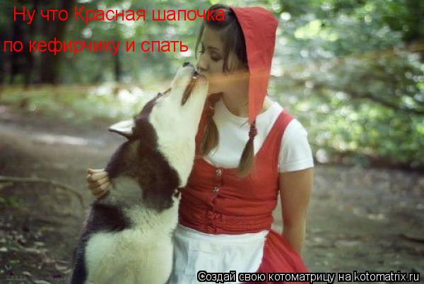 Ну что Красная шапочка по кефирчику и спать... Котоматрица: Ну что Красная шапочка по кефирчику и спать