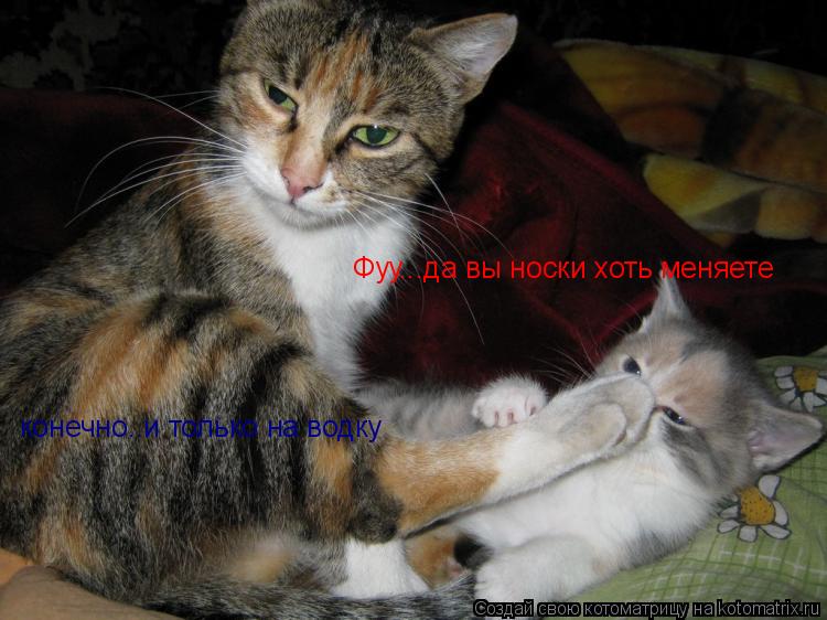Фуу...да вы носки хоть меняете конечно..и только на водку... Котоматрица: Фуу...да вы носки хоть меняете конечно..и только на водку