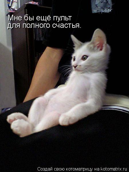 Мне бы ещё пульт для полного счастья.... Котоматрица: Мне бы ещё пульт для полного счастья.
