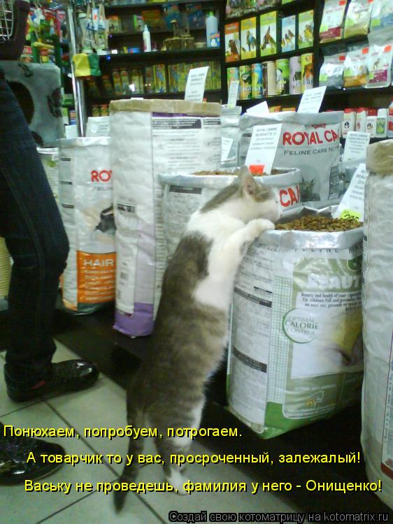 Понюхаем, попробуем, потрогаем. А товарчик то у вас, просроченный, залежалый! Ваську не проведешь, фа... Котоматрица: Понюхаем, попробуем, потрогаем. А товарчик то у вас, просроченный, залежалый! Ваську не проведешь, фамилия у него - Онищенко!