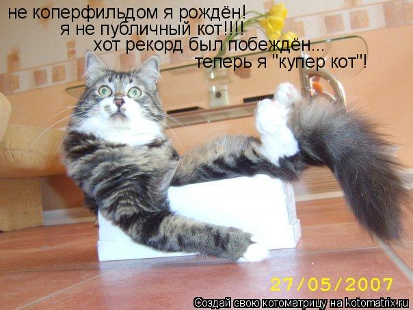 не коперфильдом я рождён! я не публичный кот!!!! хот рекорд был побеждён... теперь я "купер кот"!... Котоматрица: не коперфильдом я рождён! я не публичный кот!!!! хот рекорд был побеждён... теперь я "купер кот"!