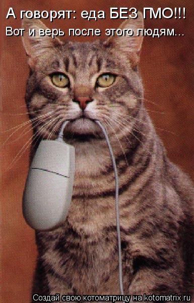 А говорят: еда БЕЗ ГМО!!! Вот и верь после этого людям...... Котоматрица: А говорят: еда БЕЗ ГМО!!! Вот и верь после этого людям...