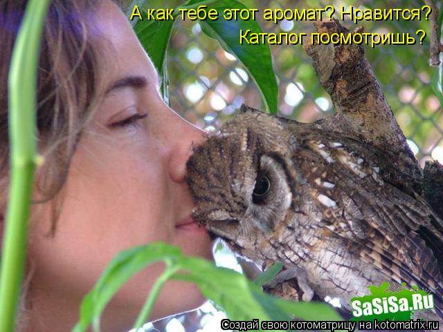 А как тебе этот аромат? Нравится? Каталог посмотришь?... Котоматрица: А как тебе этот аромат? Нравится? Каталог посмотришь?