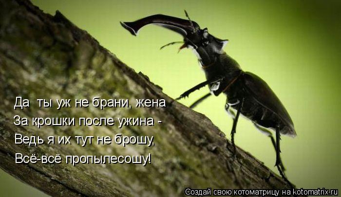 Да ты уж не брани, жена За крошки после ужина - Ведь я их тут не брошу, Всё-всё пропылесошу!... Котоматрица: Да ты уж не брани, жена За крошки после ужина - Ведь я их тут не брошу, Всё-всё пропылесошу!