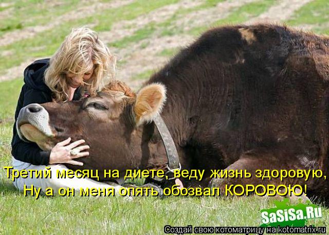 Третий месяц на диете, веду жизнь здоровую, Ну а он меня опять обозвал КОРОВОЮ!... Котоматрица: Третий месяц на диете, веду жизнь здоровую, Ну а он меня опять обозвал КОРОВОЮ!