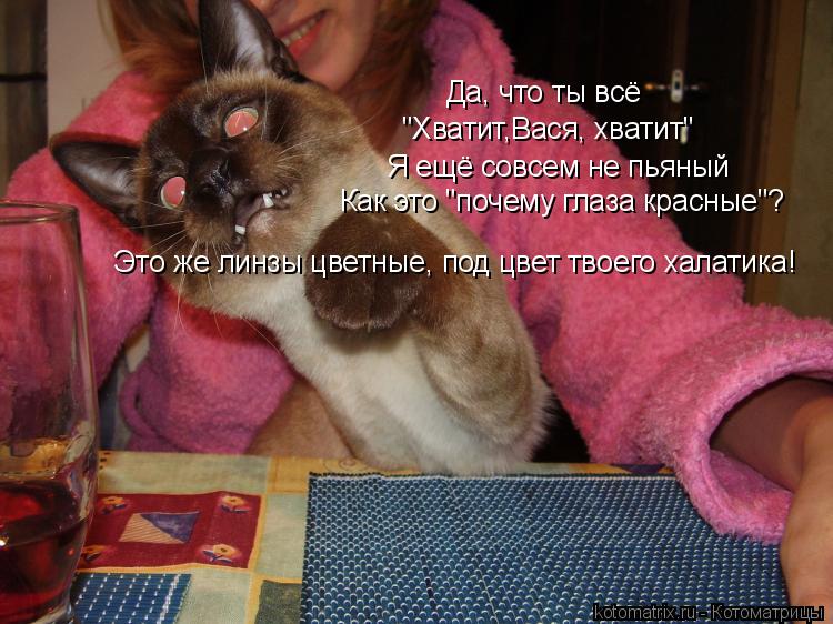 Да, что ты всё "Хватит,Вася, хватит" Я ещё совсем не пьяный Как это "почему глаза красные"? Это же ... Котоматрица: Да, что ты всё "Хватит,Вася, хватит" Я ещё совсем не пьяный Как это "почему глаза красные"? Это же линзы цветные, под цвет твоего халатика!
