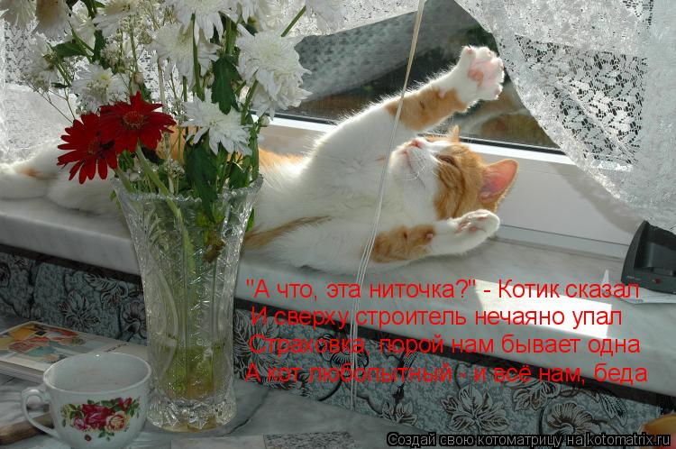 "А что, эта ниточка?" - Котик сказал И сверху строитель нечаяно упал Страховка, порой нам бывает одна... Котоматрица: "А что, эта ниточка?" - Котик сказал И сверху строитель нечаяно упал Страховка, порой нам бывает одна А кот любопытный - и всё нам, беда
