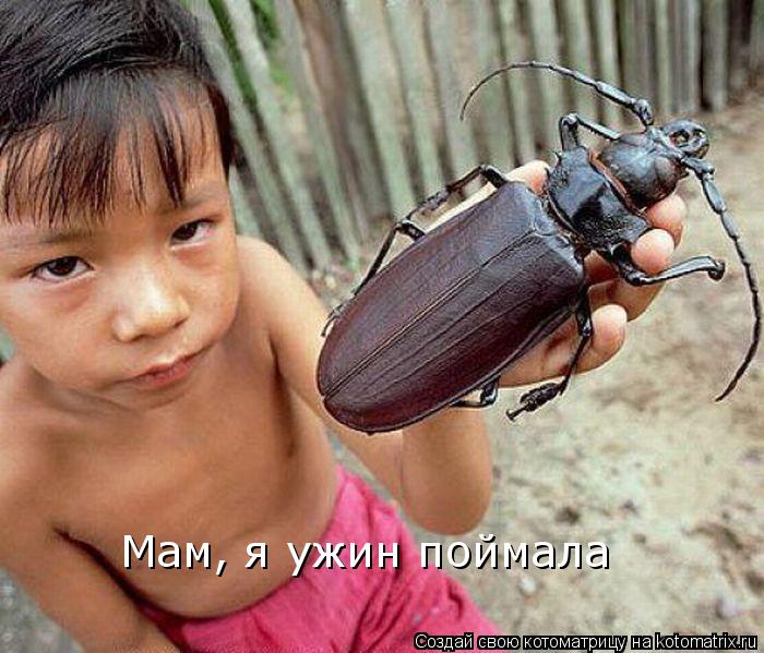 Мам, я ужин поймала... Котоматрица: Мам, я ужин поймала