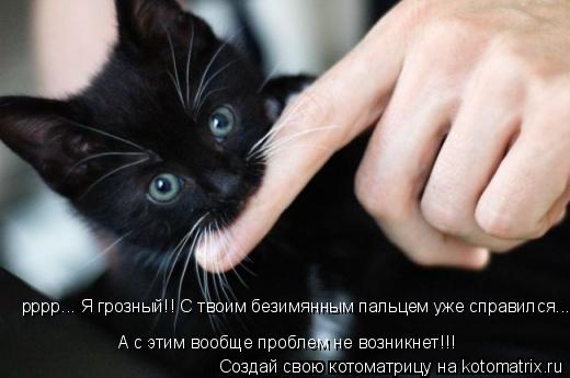 А с этим вообще проблем не возникнет!!! рррр... Я грозный!! С твоим безимянным пальцем уже справился.... Котоматрица: А с этим вообще проблем не возникнет!!! рррр... Я грозный!! С твоим безимянным пальцем уже справился...