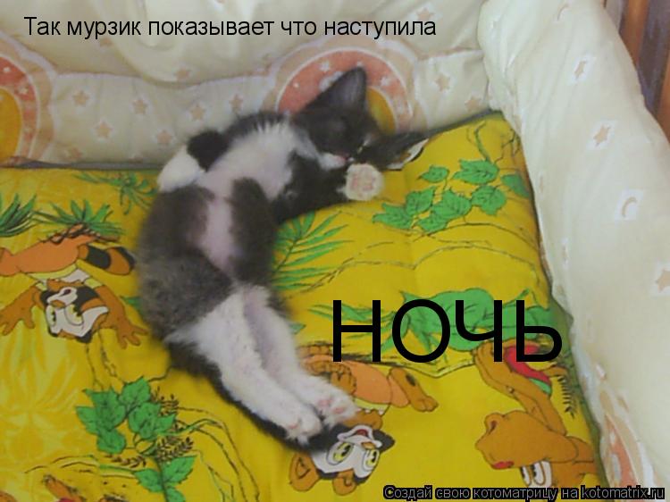 Так мурзик показывает что наступила НОЧЬ... Котоматрица: Так мурзик показывает что наступила НОЧЬ