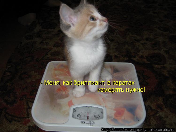- Меня, как бриллиант, в каратах измерять нужно!... Котоматрица: - Меня, как бриллиант, в каратах измерять нужно!