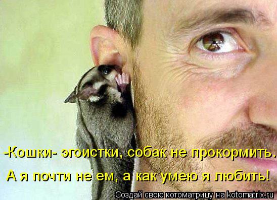 -Кошки- эгоистки, собак не прокормить. А я почти не ем, а как умею я любить!... Котоматрица: -Кошки- эгоистки, собак не прокормить. А я почти не ем, а как умею я любить!