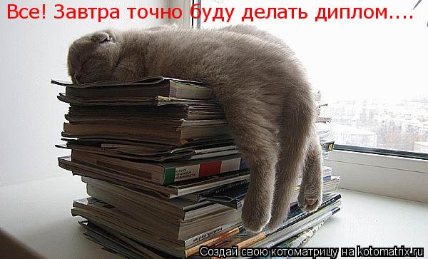 Все! Завтра точно буду делать диплом....... Котоматрица: Все! Завтра точно буду делать диплом....