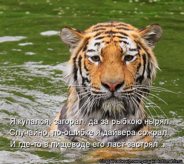 Я купался, загорал, да за рыбкою нырял. Случайно, по-ошибке я дайвера сожрал. И где-то в пищеводе его... Котоматрица: Я купался, загорал, да за рыбкою нырял. Случайно, по-ошибке я дайвера сожрал. И где-то в пищеводе его ласт застрял...