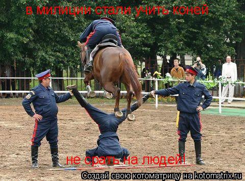 в милиции стали учить коней не срать на людей!... Котоматрица: в милиции стали учить коней не срать на людей!