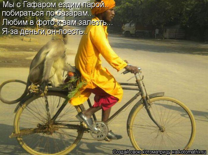 Мы с Гафаром ездим парой.. побираться по базарам.. Любим в фото к вам залезть... Я-за деньги,он-поест... Котоматрица: Мы с Гафаром ездим парой.. побираться по базарам.. Любим в фото к вам залезть... Я-за деньги,он-поесть..