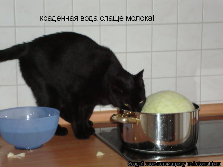 краденная вода слаще молока!... Котоматрица: краденная вода слаще молока!