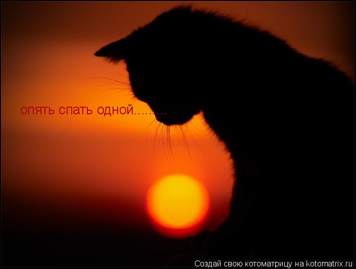 опять спать одной............ Котоматрица: опять спать одной.........