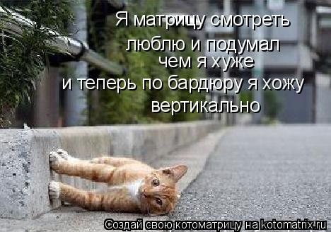 люблю и подумал чем я хуже и теперь по бардюру я хожу Я матрицу смотреть вертикально... Котоматрица: люблю и подумал чем я хуже и теперь по бардюру я хожу Я матрицу смотреть вертикально